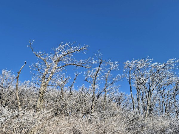 Massage à paris : trouver l'équilibre entre détente et vitalité